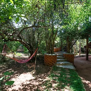 https://the-thick-forest.kandyhotelsnow.com
